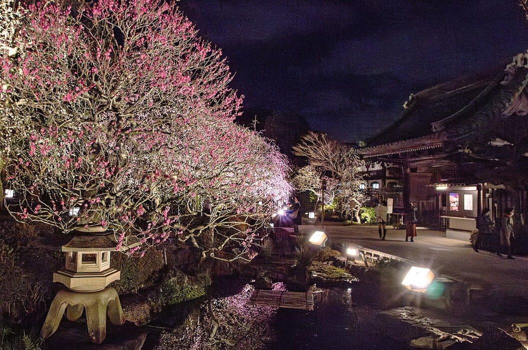 画像1801