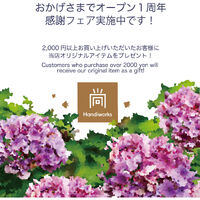 画像2312