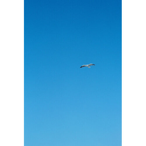 FH000005 2