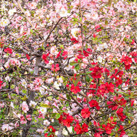 画像1991