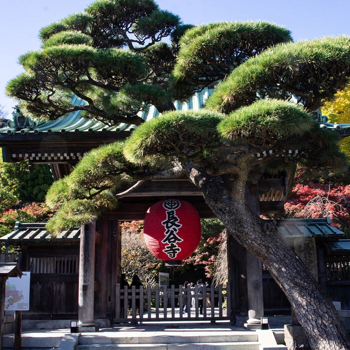 画像2834
