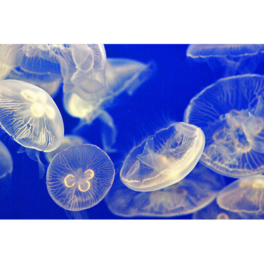 imgp7790