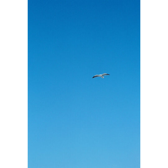 FH000005 2