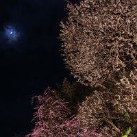 画像1625
