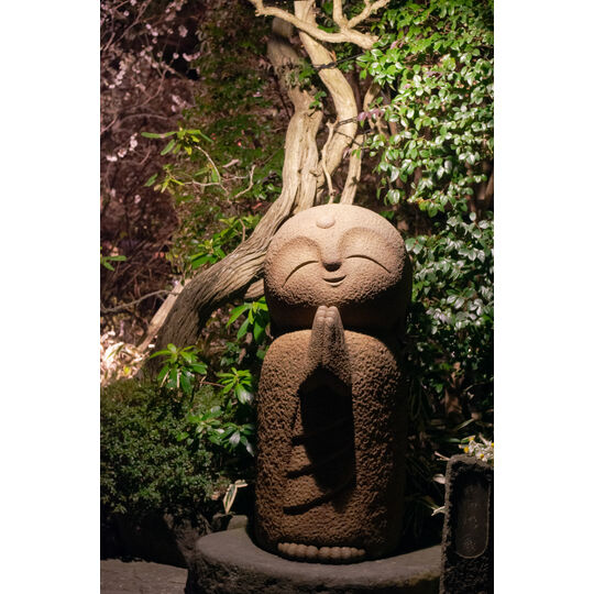 IMGP8721